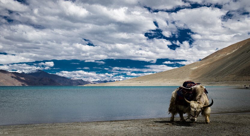 PANGONG LAKE