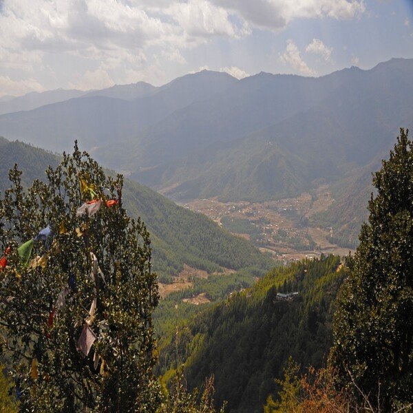 Holly Trance Bhutan Trail