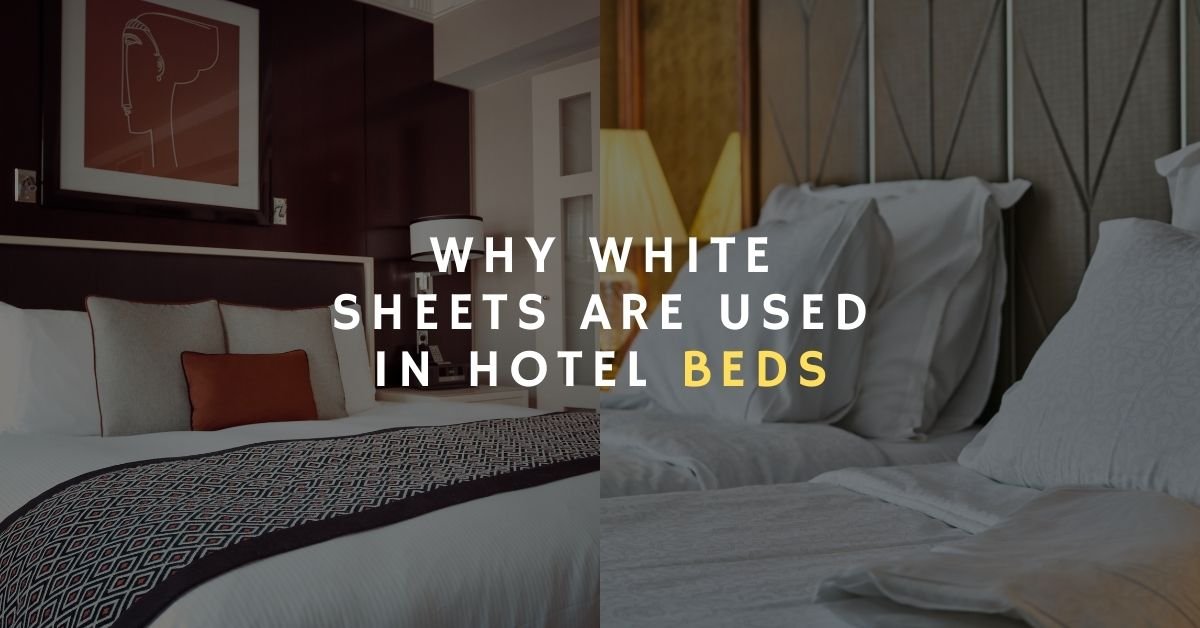 WHY WHITE SHEETS ARE USED IN HOTEL BEDS