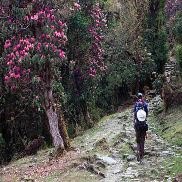 Trekking Route