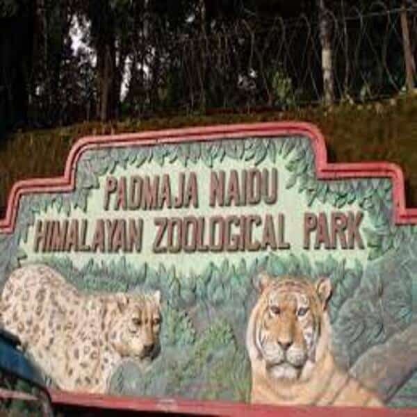 Darjeeling Zoological Park